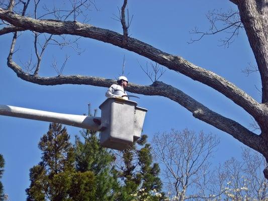 Tree Pruning