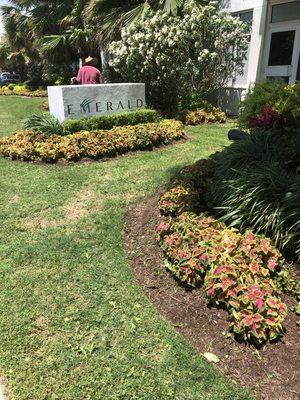 Installed fresh seasonal flowers in Galveston Texas