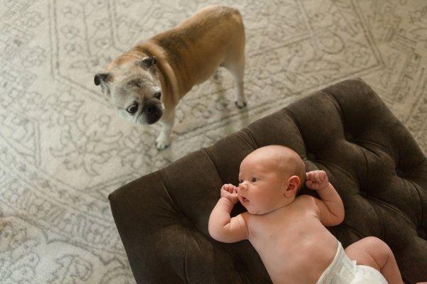 In-Home Lifestyle Newborn Photography