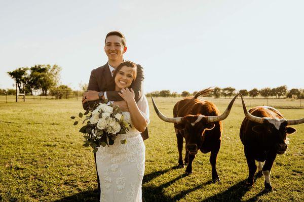 Got to get in a few pics with the longhorns behind the gazebo