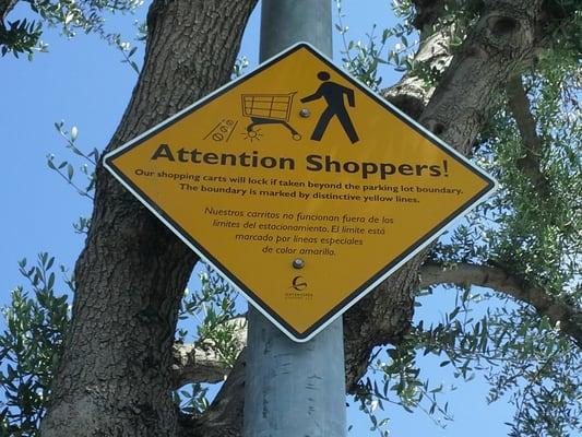 Attention Shoppers! Our Shopping Carts will lock if taken beyond the parking lot boundary marked by Yellow Lines!