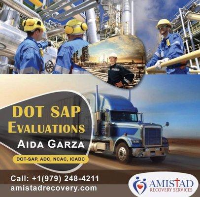 DOT-SAP evaluations for DISA, FMCSA Clearinghouse, FAA, FRA, Coast Guard.