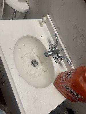 Disgusting sink and hand soap