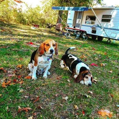 Frank n Bean's loves this campground