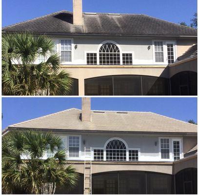 Let us make your Roof look like new again.