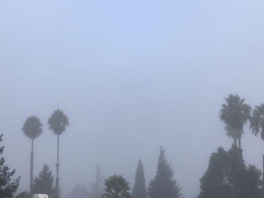 Foggy Vallejo Morning