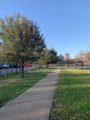 Local parks entrust us to keep their trees beautiful!