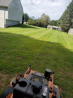 Nice straight lines on the lawn.