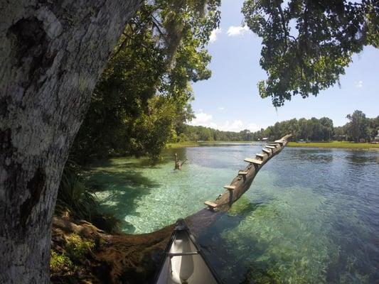 Rainbow River Cabin