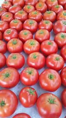 Beautiful tomatoes