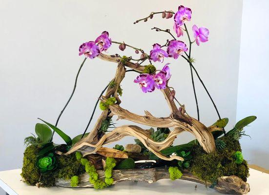 Custom Orchid Arrangement