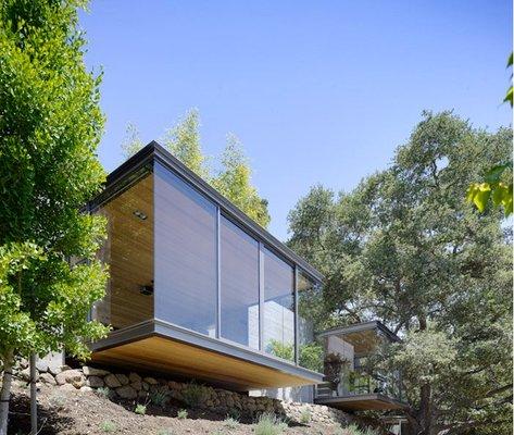 Tea House in Silicon Valley