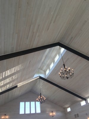 beautiful ceilings