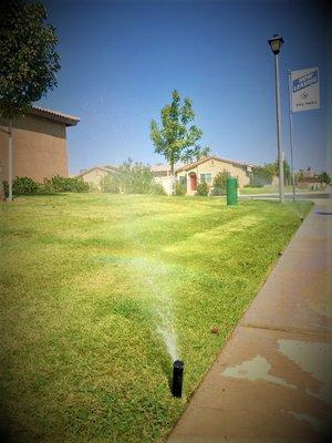 Kern County Commercial Lawn Services.