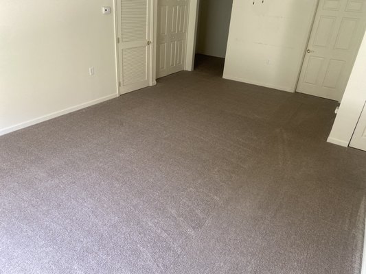 Carpet Cleaning