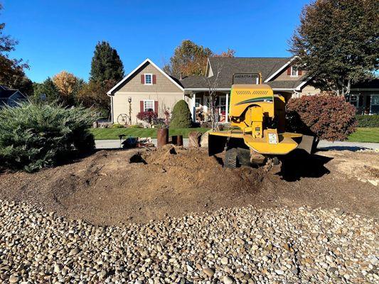 Boise stump grinding service. Complete tree stump removal using 70hp remote control Vermeer stump grinder.