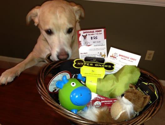 Humane Society Silent Auction Basket