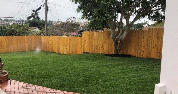 New Sod, Irrigation System, and Privacy Fence