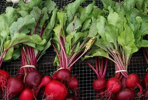 Project Eats Frederick Douglass Housing Farmstand