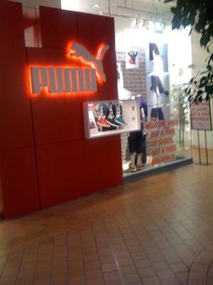 Puma