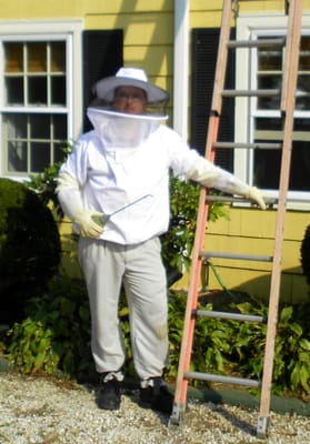 Getting Ready for a bee service