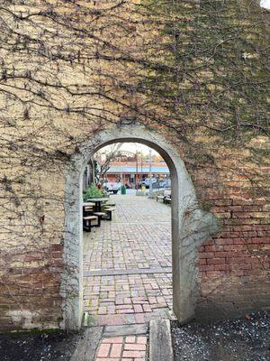 Vine covered doorway