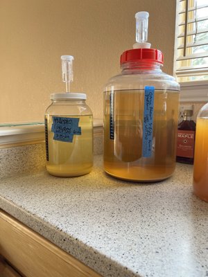 Wellington traditional and orange blossom traditional honey mead secondary fermentation's before bottling.