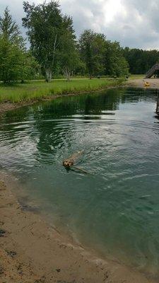 Dog friendly pond