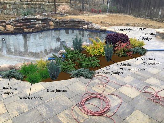 Get your low Maintenance landscape design around your pool or patio.