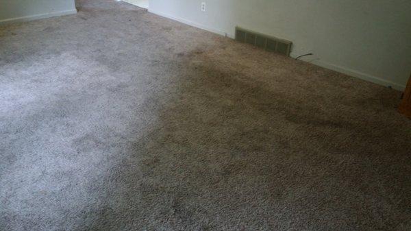 Comprehensive Carpet Care