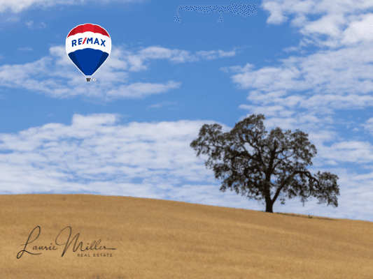 Paso Robles Countryside