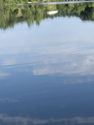 Water reflection