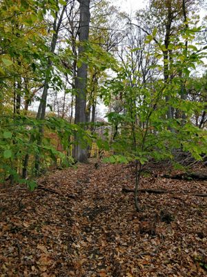 Hiking on the south side of the park