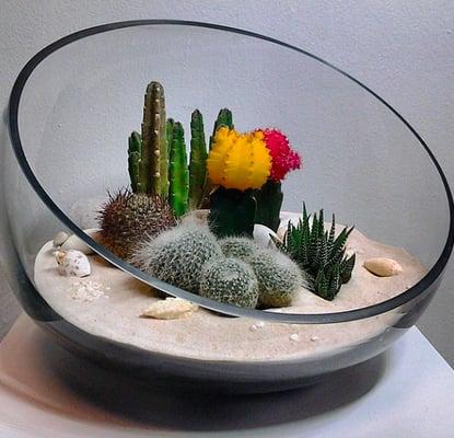 Half moon terrarium