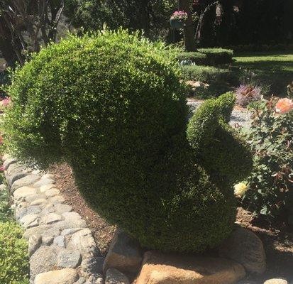 Chris' Topiary