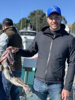 A fiesty, hefty ling cod