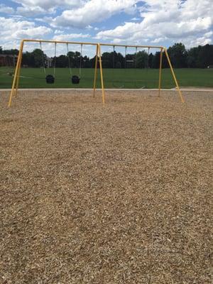 Swings, and a lot of grass...