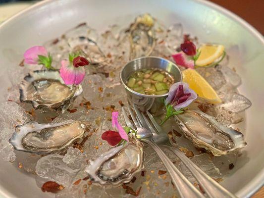 Half dozen or dozen oysters. Solid move.