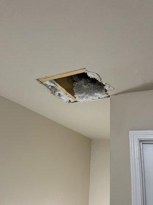 Ceiling repair