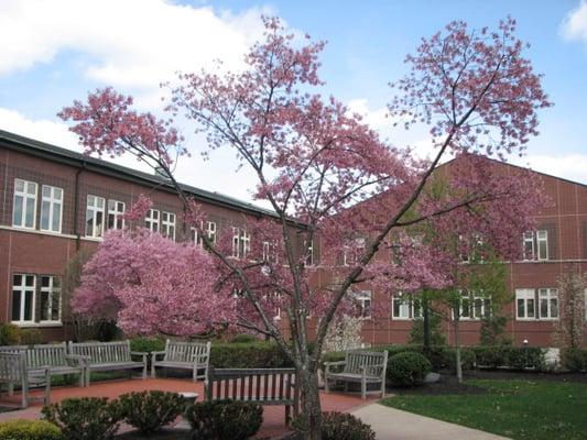 Courtyard at Wardlaw-Hartridge School