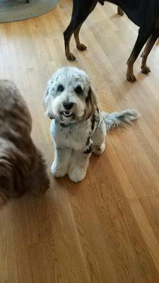 A happy boy after his haircut from DeTails