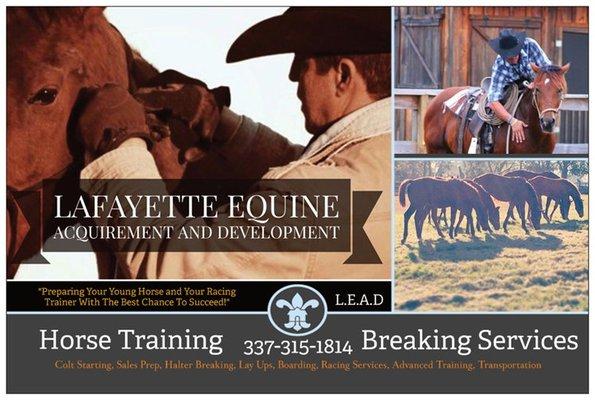 Lafayette Equine Acquirement and Development