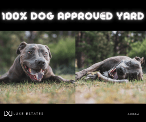 Dog Approved Yards