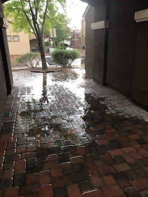 When it rains you'll need to wade through this mess if you park in the driveway uneven pavers poor drainage