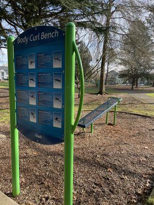 Body curl bench