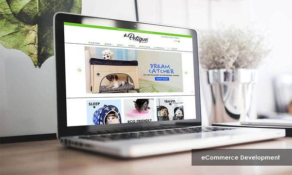 Magento website design and development for Petique (pet products).