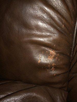 I just took this picture of our couch.  It has gotten worse over the last couple of weeks.  This is ridiculous!!!