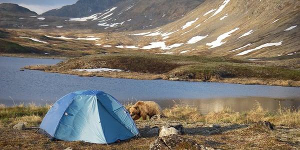 Denali Trekking Company