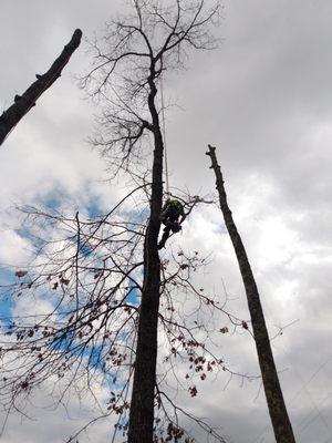 J&k Tree Service