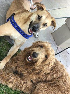 Winnie and Chevelle had a blast at the park!